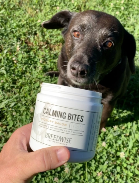 Breedwise pet calming bites bottle in front of dog