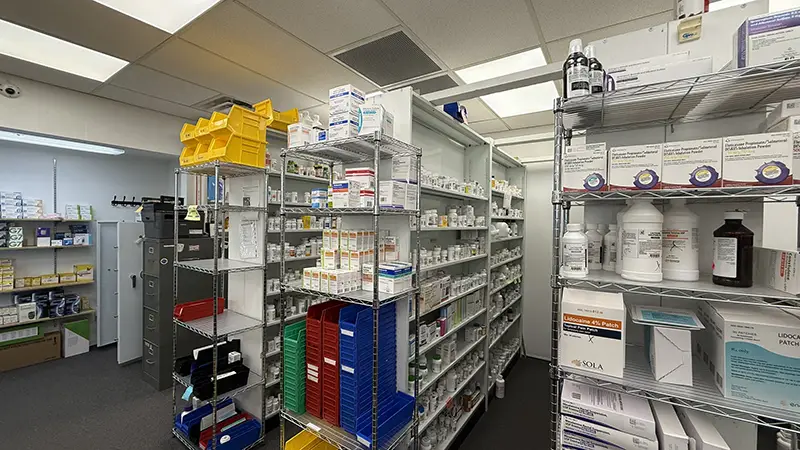 photo contest example 2