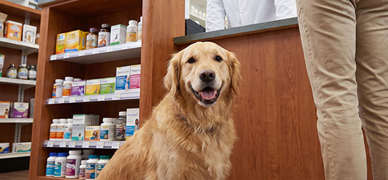 Why Pet Health May Be Your Pharmacy’s Next Cash Business Opportunit v2